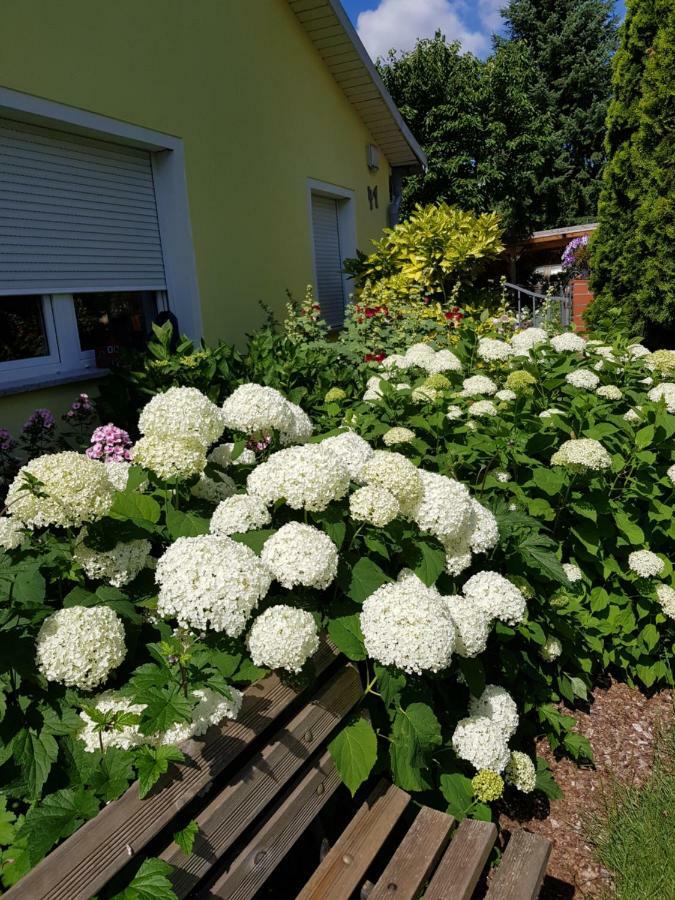 Ferienwohnung Lotte Nuthe-Urstromtal Zewnętrze zdjęcie